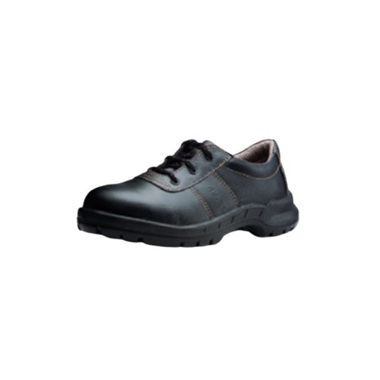 KING'S Comfort Range KWS800