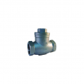 Class 200 Stainless Steel Swing Check Valve BSPT
