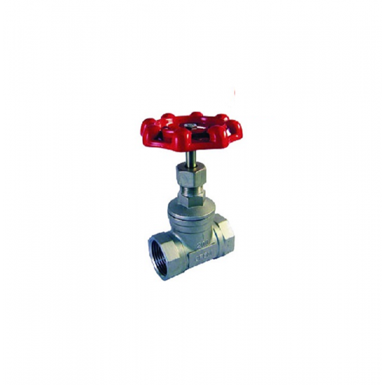 Class 200 Stainless Steel Globe Valve BSPT
