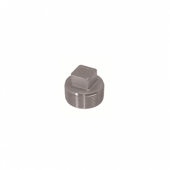 SS316 Square Plug BSPT
