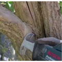 BOSCH S1531L Sabre Saw Blades Wood Cutting. Reciprocating Saw Blade. 2pcs.