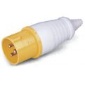 Industrial Plug Wall Mounted 110V (3 Pin)
