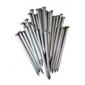 Common Nail