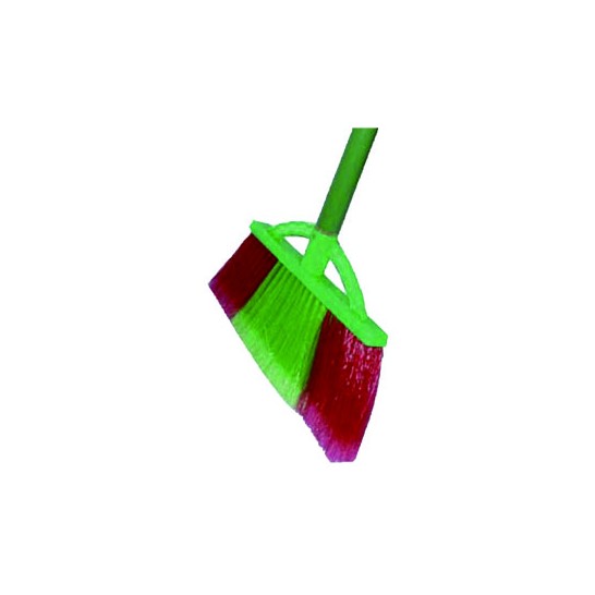 Taiwan Broom