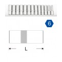 1/4"Dr. Deep Socket Rail Set -6PT.
