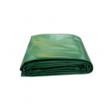 Silver/Green Canvas Sheet
