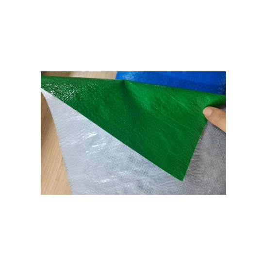 Silver/Green Canvas Sheet