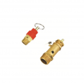 Safety Valve