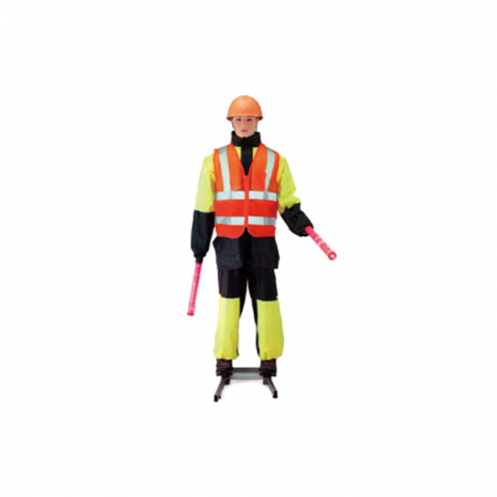 Traffic Robot