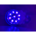 Ultra Violet (UV) Torchlight (9 LED)