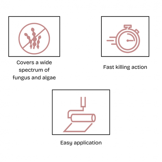 Nippon Paint Anti-Fungus Solution 5L / 20L