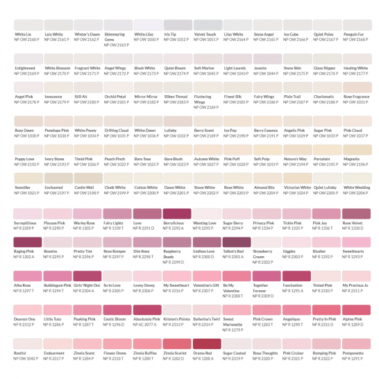 Nippon Paint Vinyl Silk 1L and 5L. Free Paint Accessories Set