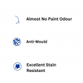 Nippon Odourless Anti-Mould Ceiling White Paint. 1L, 5L and 20L