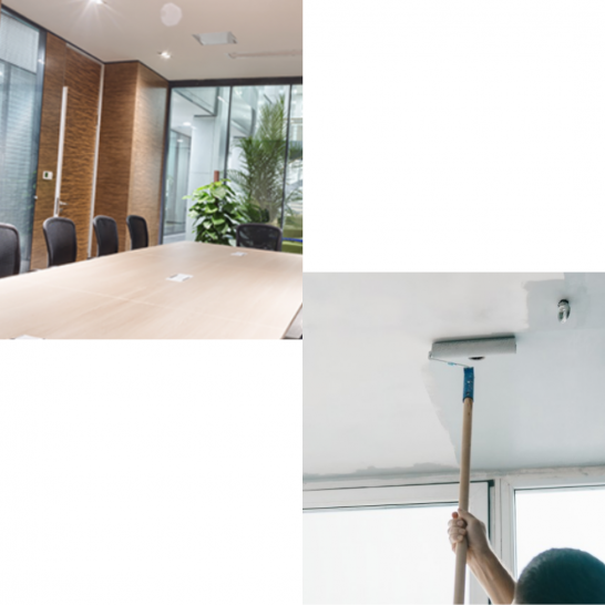 Nippon Odourless Anti-Mould Ceiling White Paint. 1L, 5L and 20L