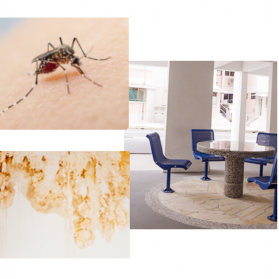 Nippon MozzieGuard Interior Wall Paint 5L. Anti- Aedes Mosquitoes. Free Paint Accessories Set