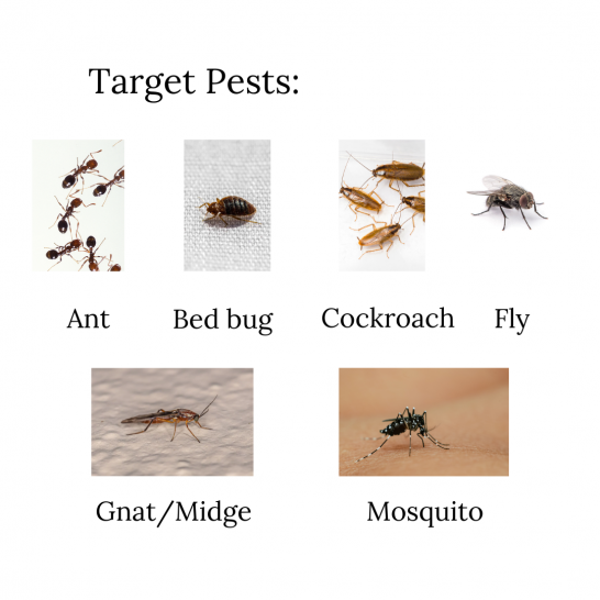 BENTACIDE 50EC Insecticide. 5L. Residual & Contact Control of Cockroaches & Mosquito Larvae