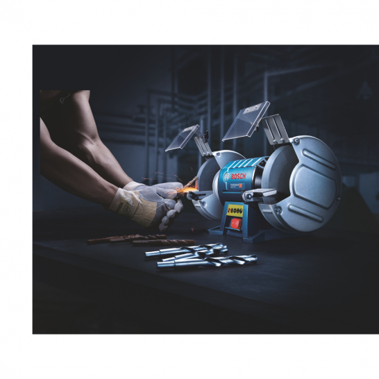 BOSCH GBG 60-20 Professional Double-Wheeled Bench Grinder 8 Inch 600W
