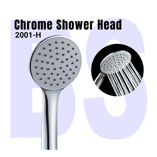 Chrome Shower Head 2001-H