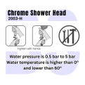 Black Shower Head 2003-H