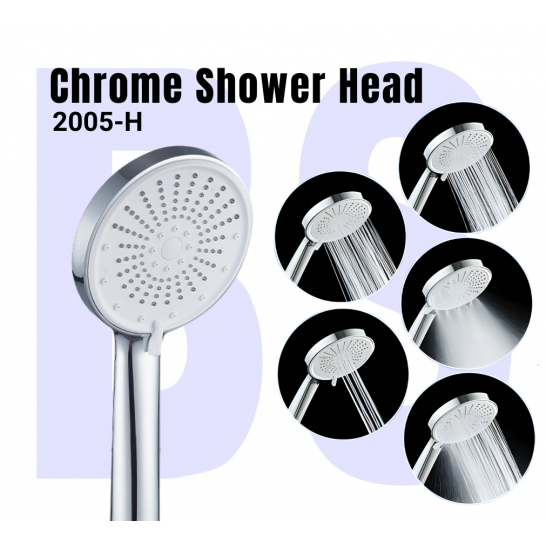 Premium Chrome Shower Head 2005-H