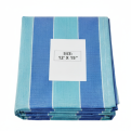 Blue White Canvas Sheet 12ft x 15ft