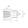 DK-LOK BRASS Adapter (Male NPT to equal female NPT) GAAMF Series