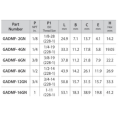 DK-LOK BRASS Adapter (Male ISO parallel to Female NPT) GADMF Series