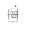 DK-LOK SS316 Pipe Cap (Female NPT) GC Series