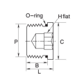 DK-LOK SS316 Hollow Hex Plug (Male SAE/MS Straight Thread) GPA Series