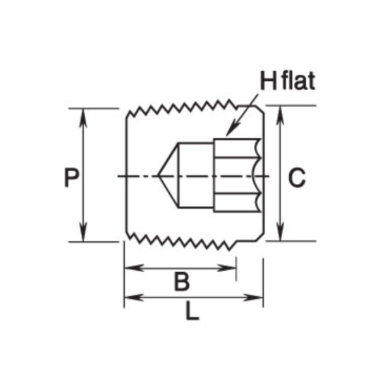 DK-LOK SS316 Hollow Hex Plug (Male NPT) GPB Series