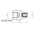 DK-LOK BRASS Snubber Fitting - GS Series