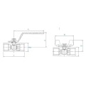 DK-LOK SS316 2-Way Ball Valve (2" Female NPT) V81H Series