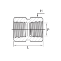 DK-LOK SS316 Hex Coupling (Female NPT both ends) GCG-10K Series