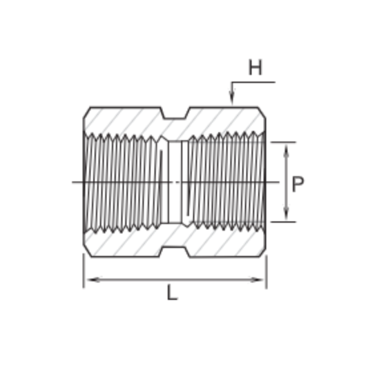 DK-LOK SS316 Hex Coupling (Female NPT both ends) GCG-10K Series