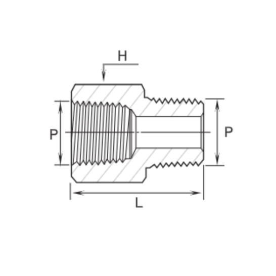 DK-LOK SS316 Adapter (Female NPT to male NPT) GAAMF-10K Series