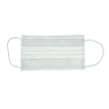 Two Ply Disposable Mask.