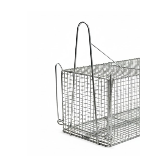 Rat Cage / Mouse Trap
