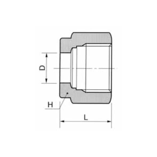 DK-LOK SS316 Nut DN Metric Series