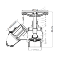 Fire Landing Valve Oblique Type