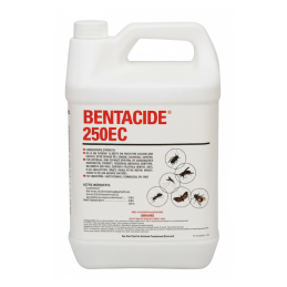 BENTACIDE 250EC Insecticide. 5L. Residual & Contact Control of Cockroaches & Mosquito Larvae